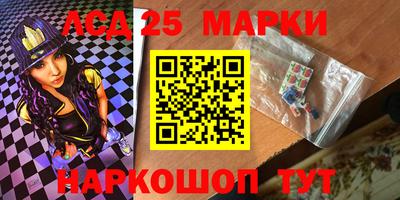 гашик Новокубанск