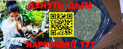 молекула духа Новозыбков