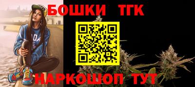 молекула духа Новозыбков