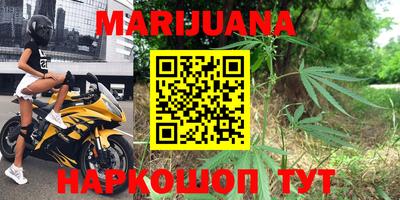 гашик Новокубанск