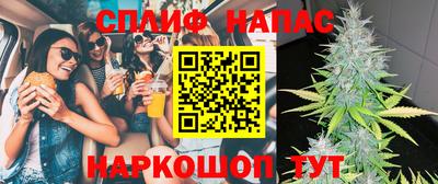 молекула духа Новозыбков