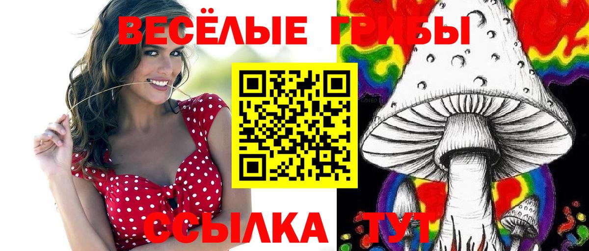 Прокопьевск  Галлюциногенные грибы ЛСД  Вход с VPN 
