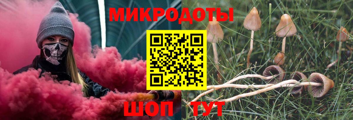 Псилоцибиновые грибы Psilocybe Прокопьевск